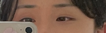 리쥬블룸 이미지