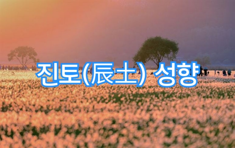 진토목 이미지