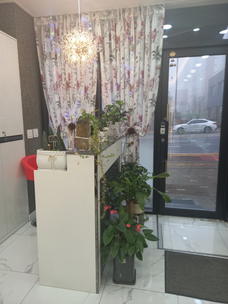 살롱드헤어 이미지