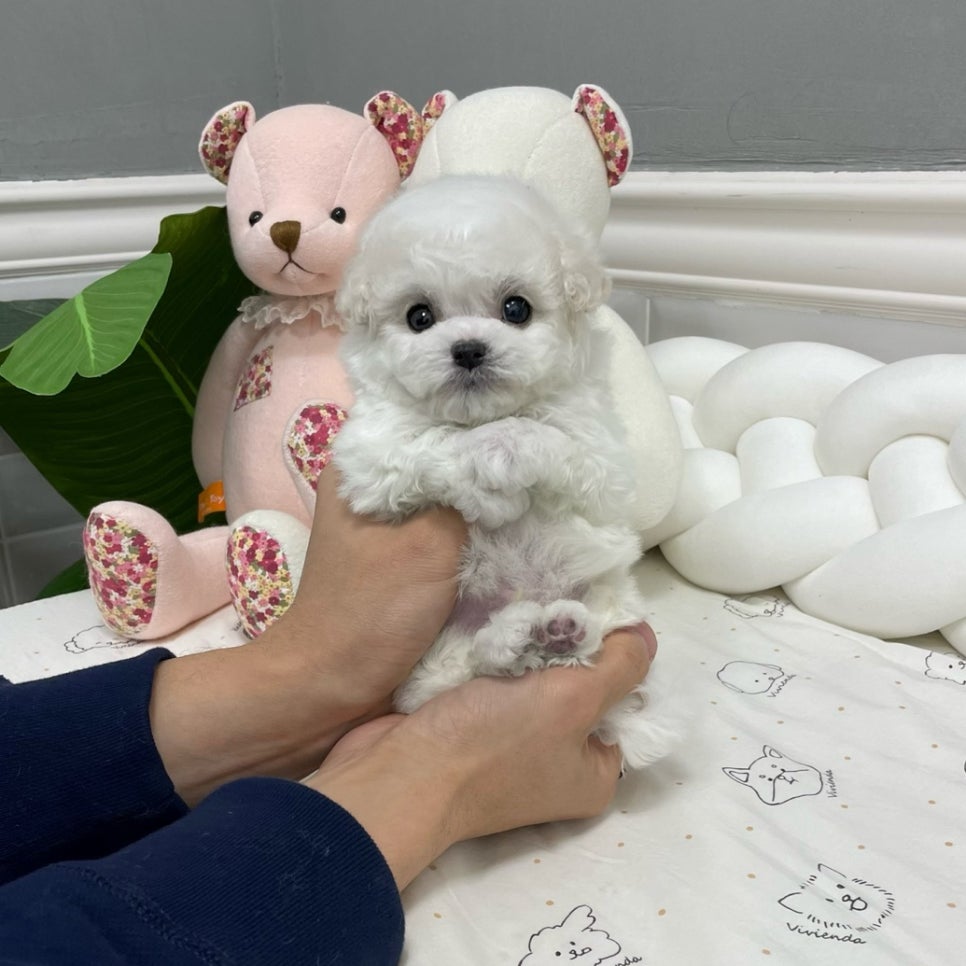 (주) 블러썸 이미지