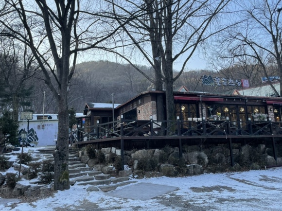 인셀덤숲 이미지