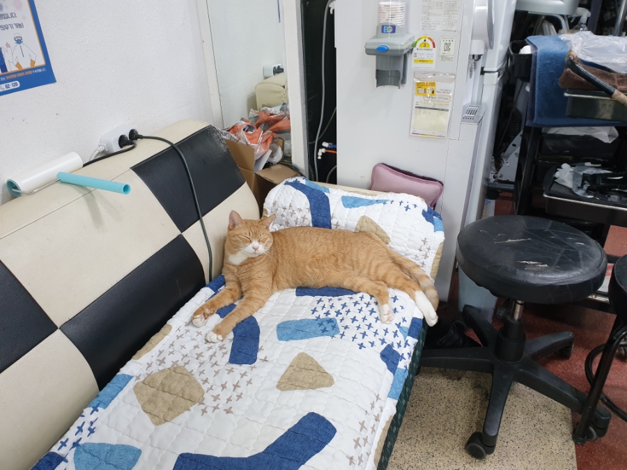 최성수헤어갤러리 이미지