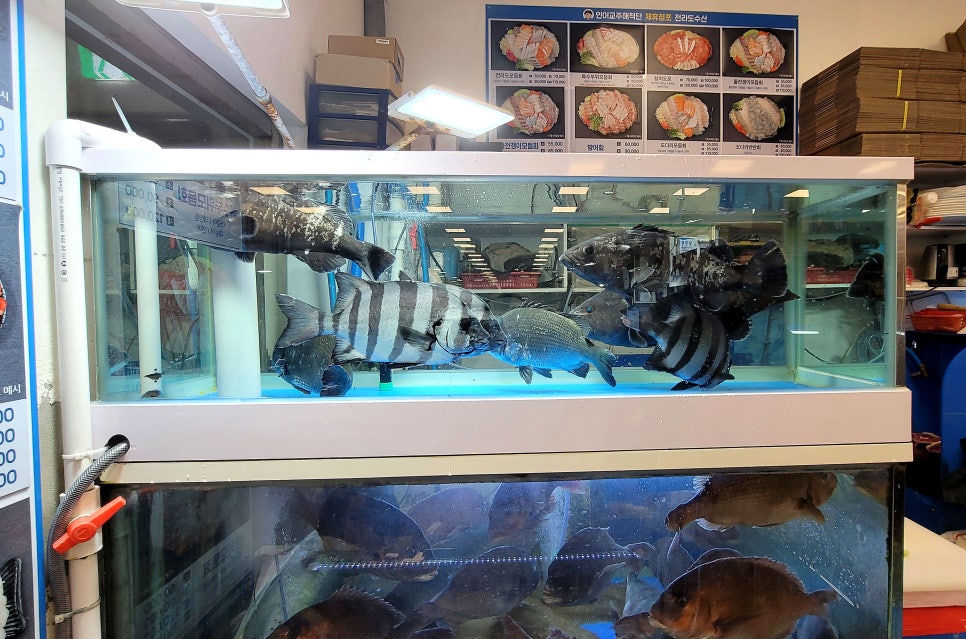 대물수산 이미지