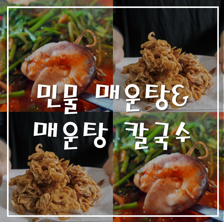 서민메기매운탕` 이미지