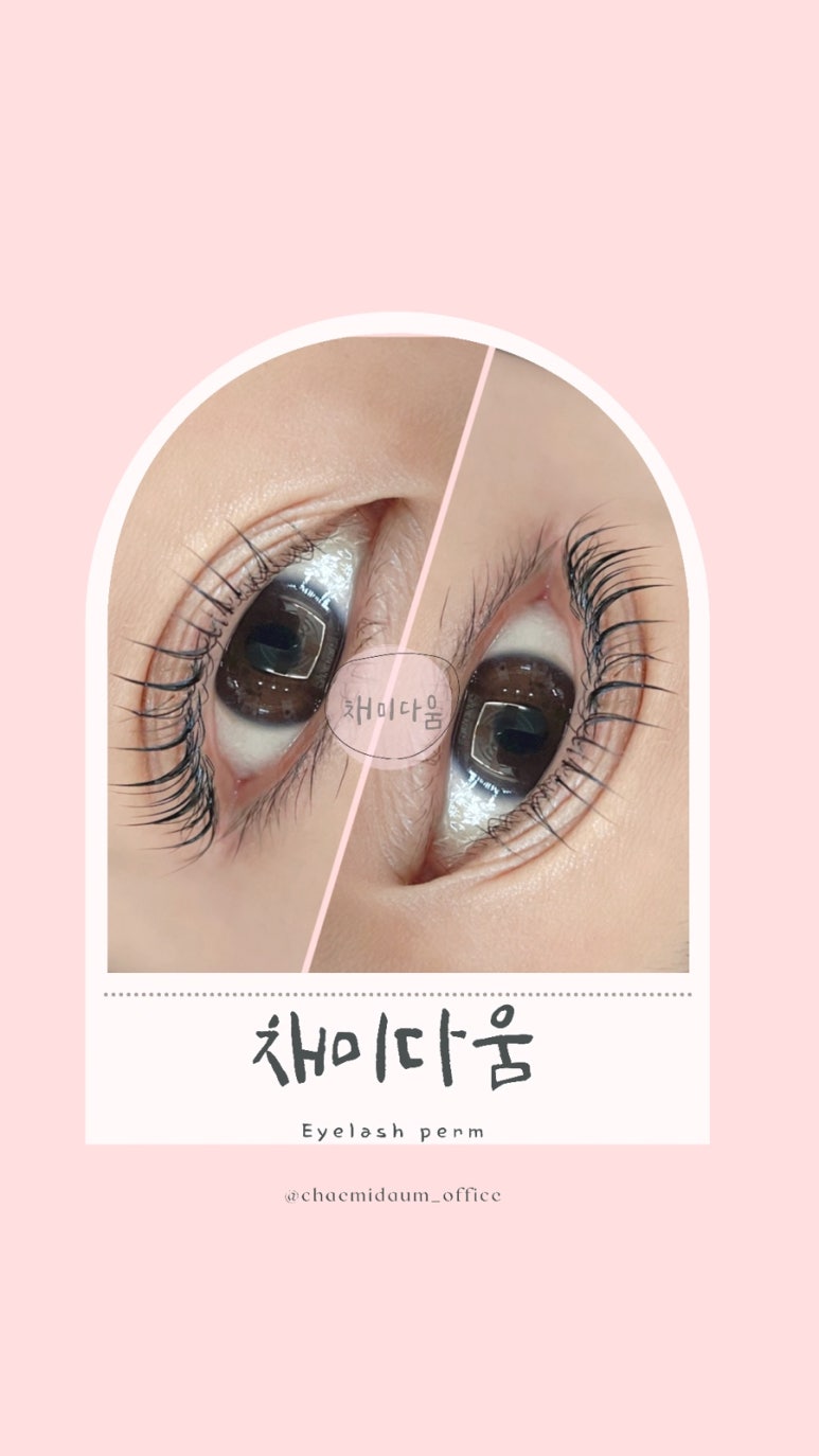 채미다움 이미지