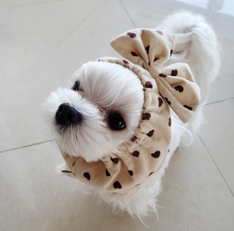 (주)리얼사인 이미지