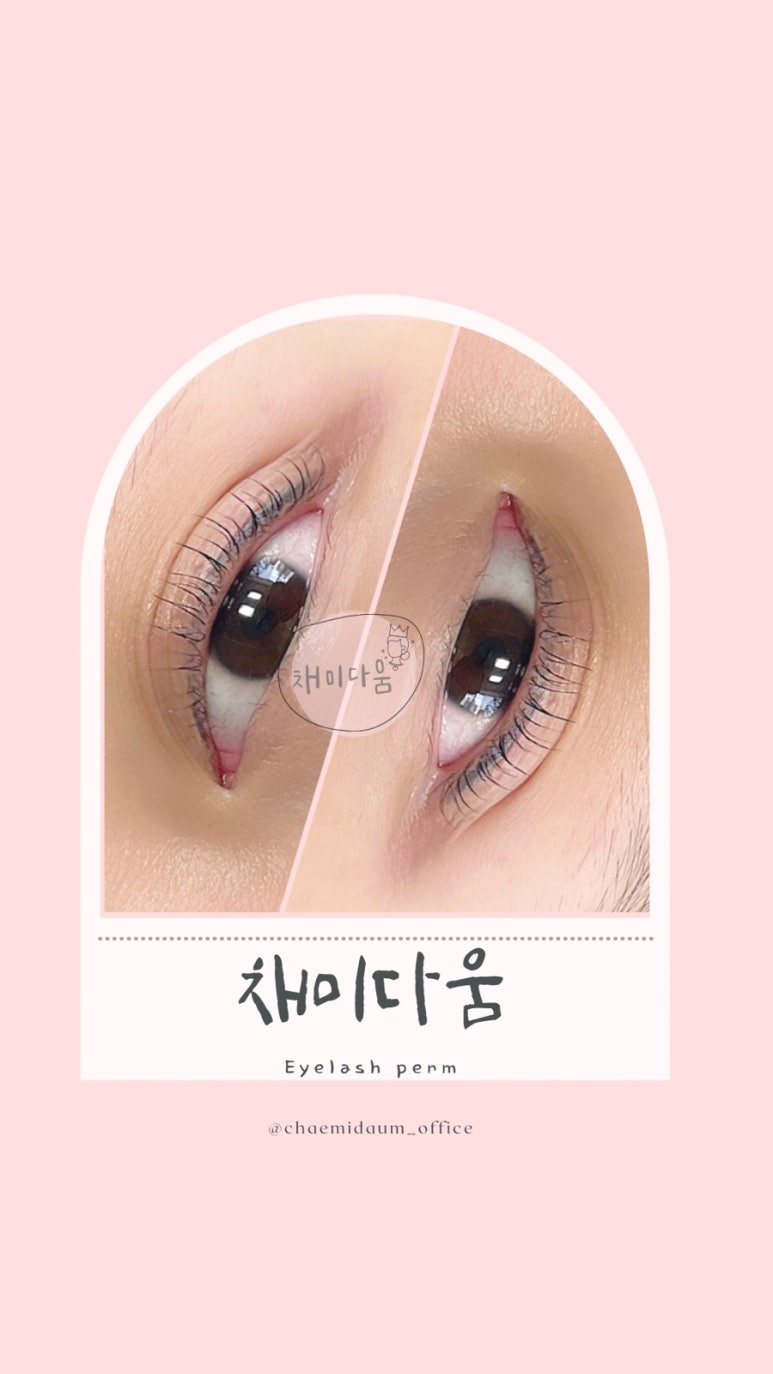 채미다움 이미지