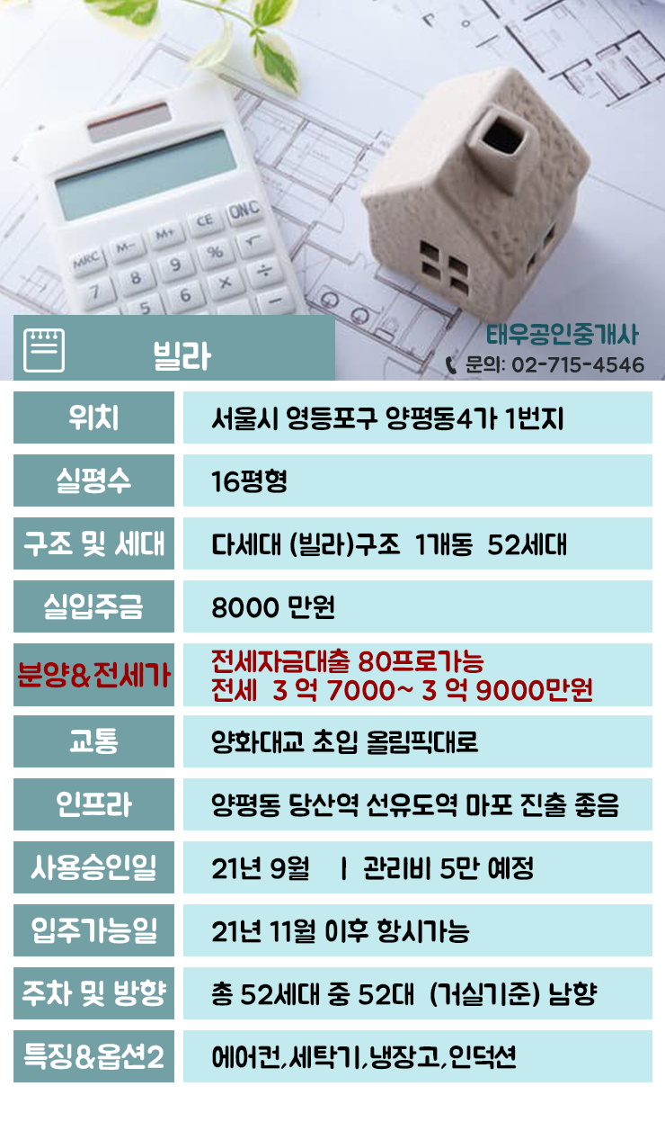 옵션2 이미지
