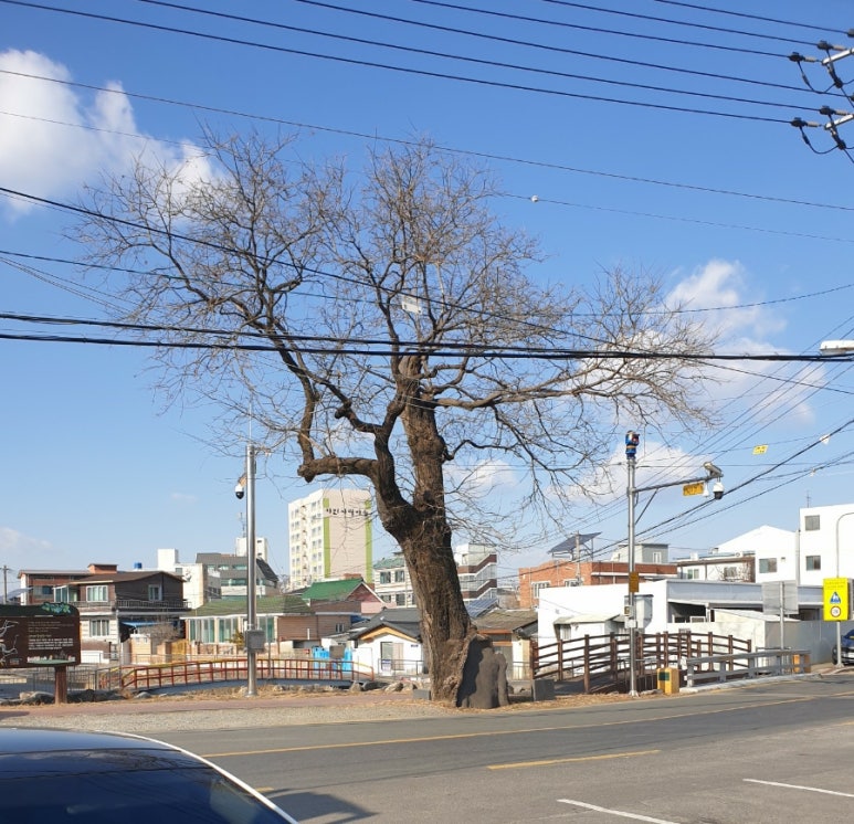 회나무염소식당 이미지