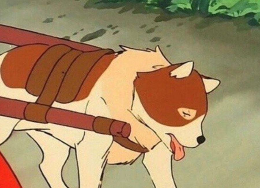 메종드유럽 이미지