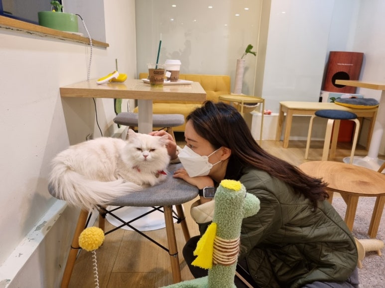 히히냥냥 이미지