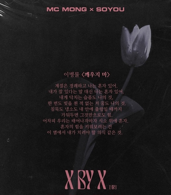 프로젝트 엑스(PROJECT X) 이미지