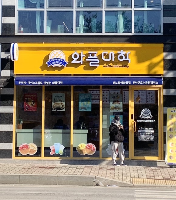 와플대학서산 이미지