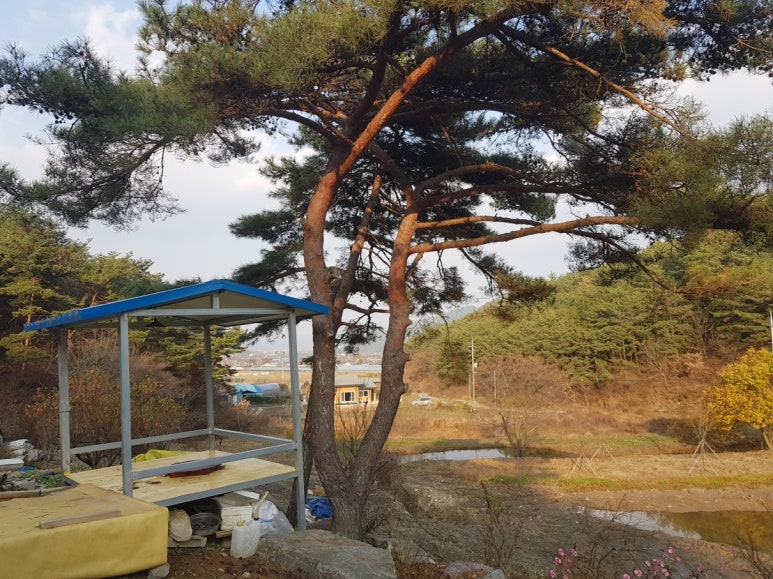 화순주택 이미지