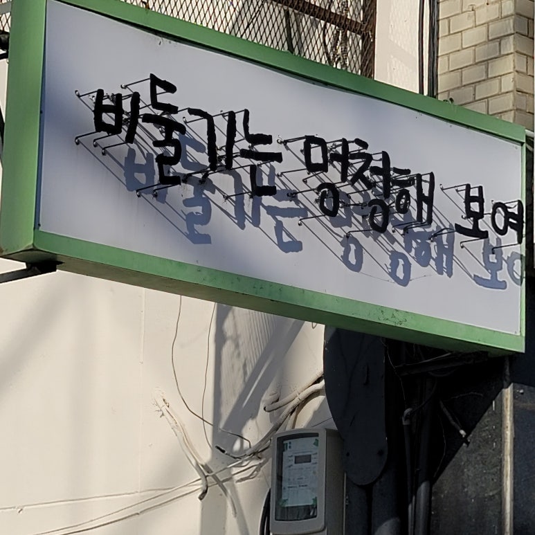 비둘기는멍청해보여 이미지