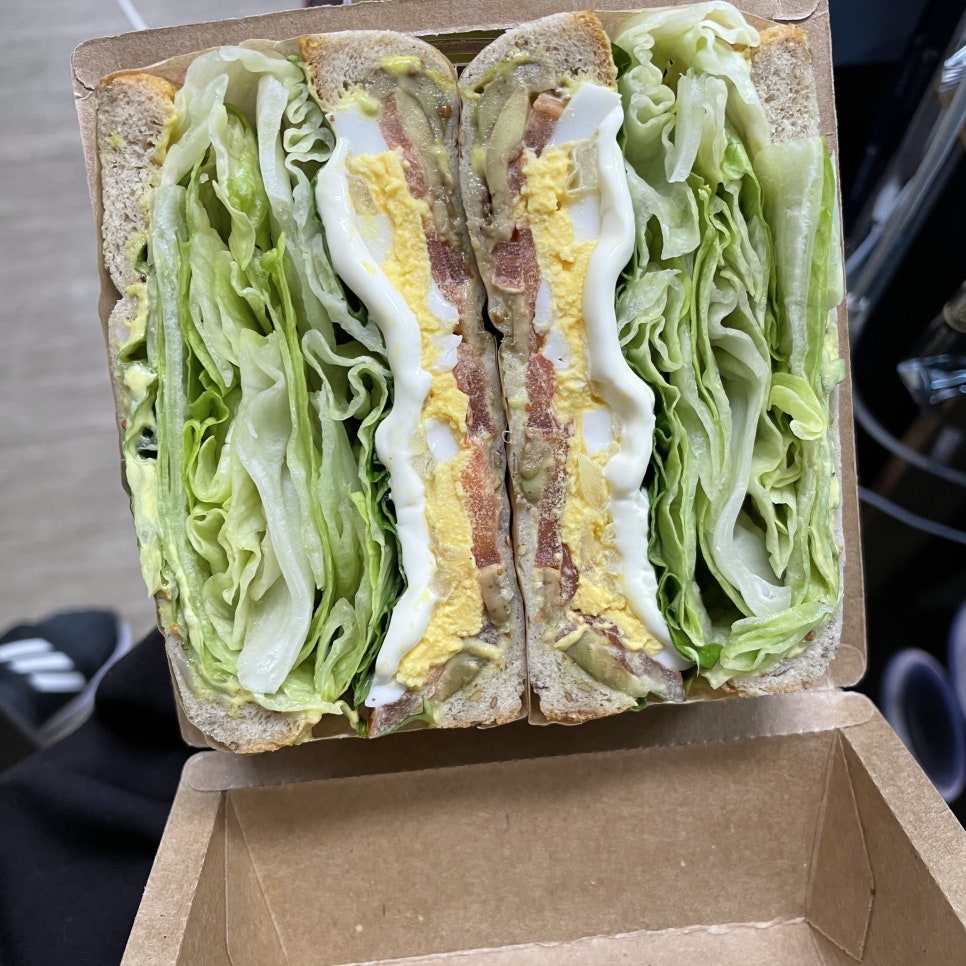 더코지블랭크 이미지