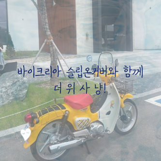 바이크리아 이미지