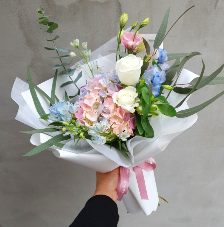 오로라에버 이미지