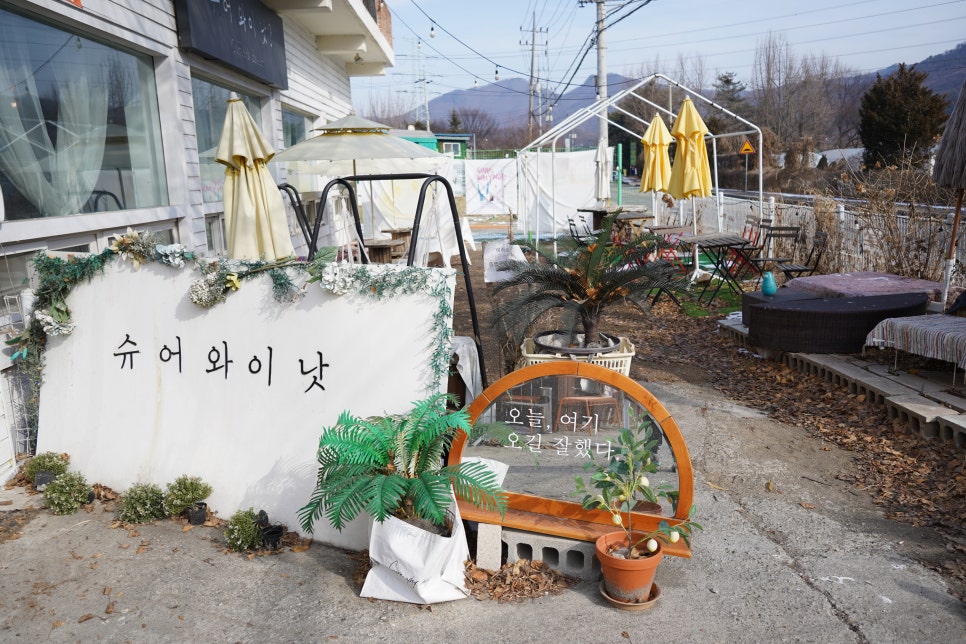 슈어와이낫 이미지