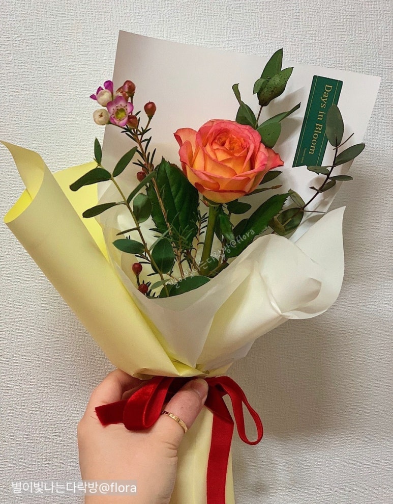 데이즈인블룸 이미지