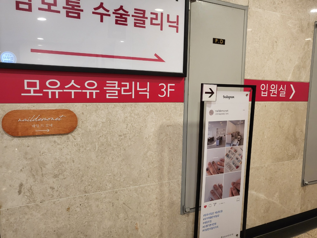 네일모네 이미지