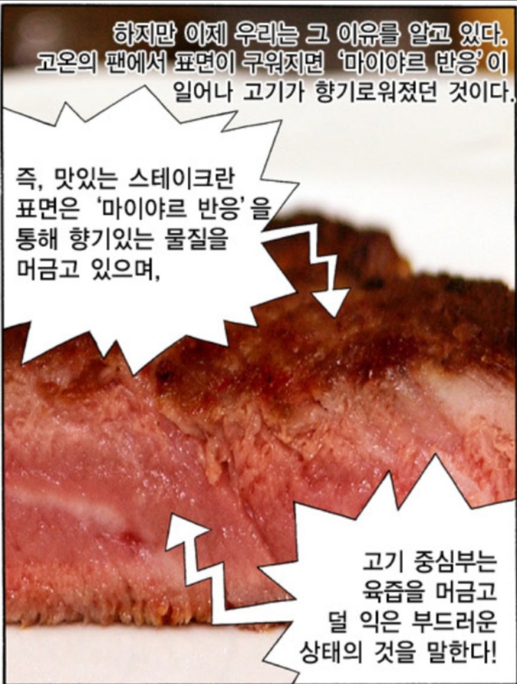 육가대표 이미지