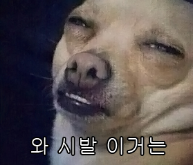 차뜨라므 이미지