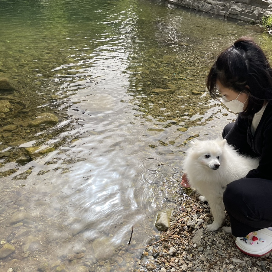 포시즌펜션 이미지