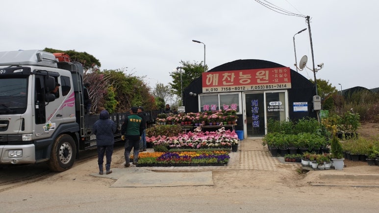경산에조경농원 이미지