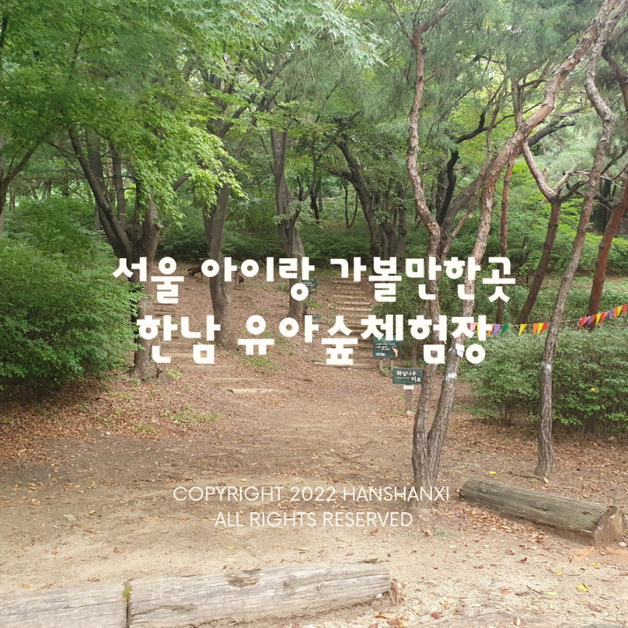한남 유아숲체험원 이미지