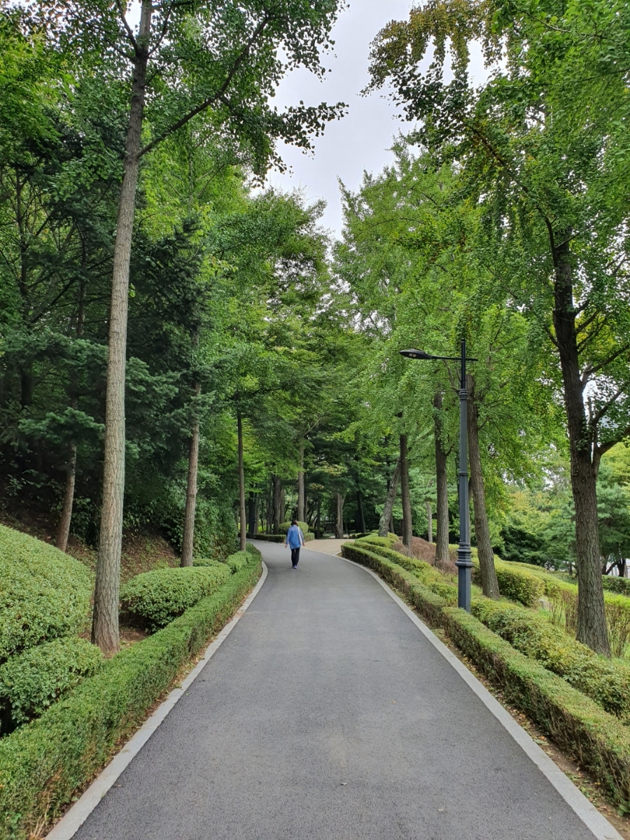 한남 유아숲체험원 이미지