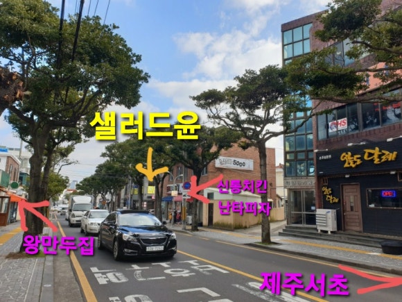샐러드윤 이미지