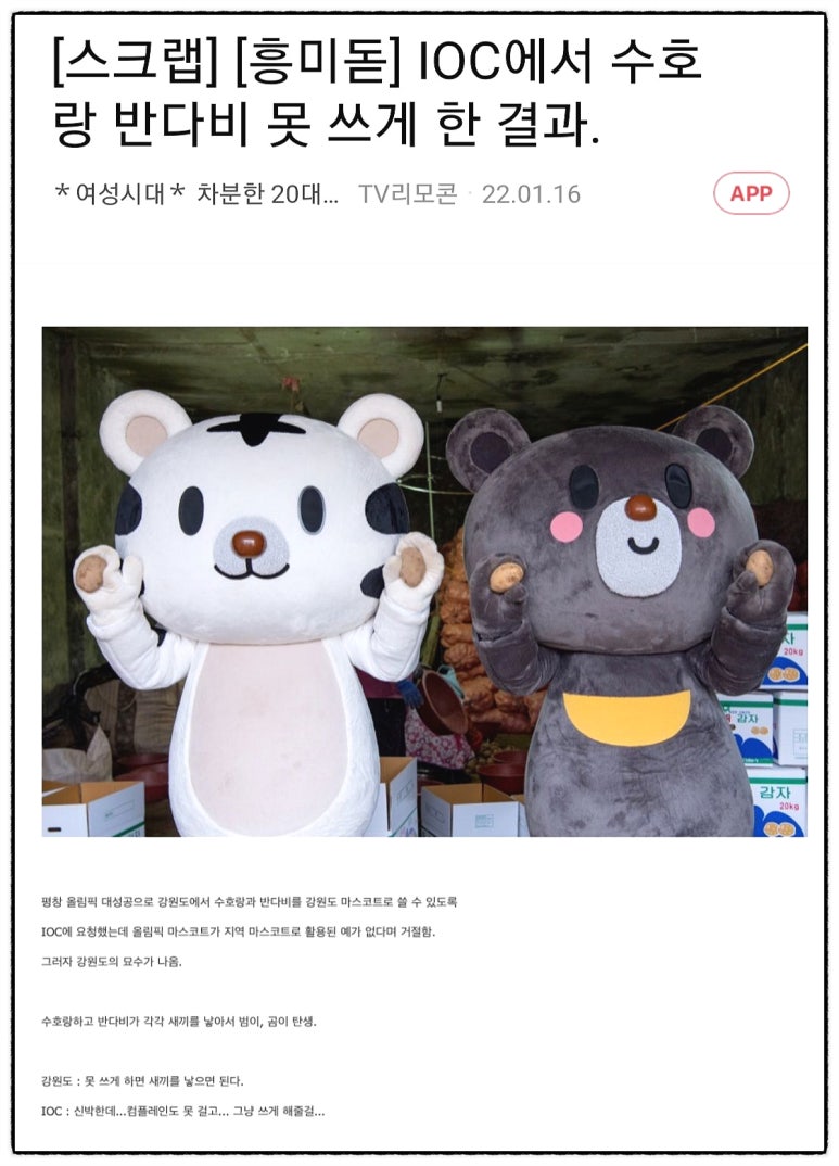 아이오씨 이미지