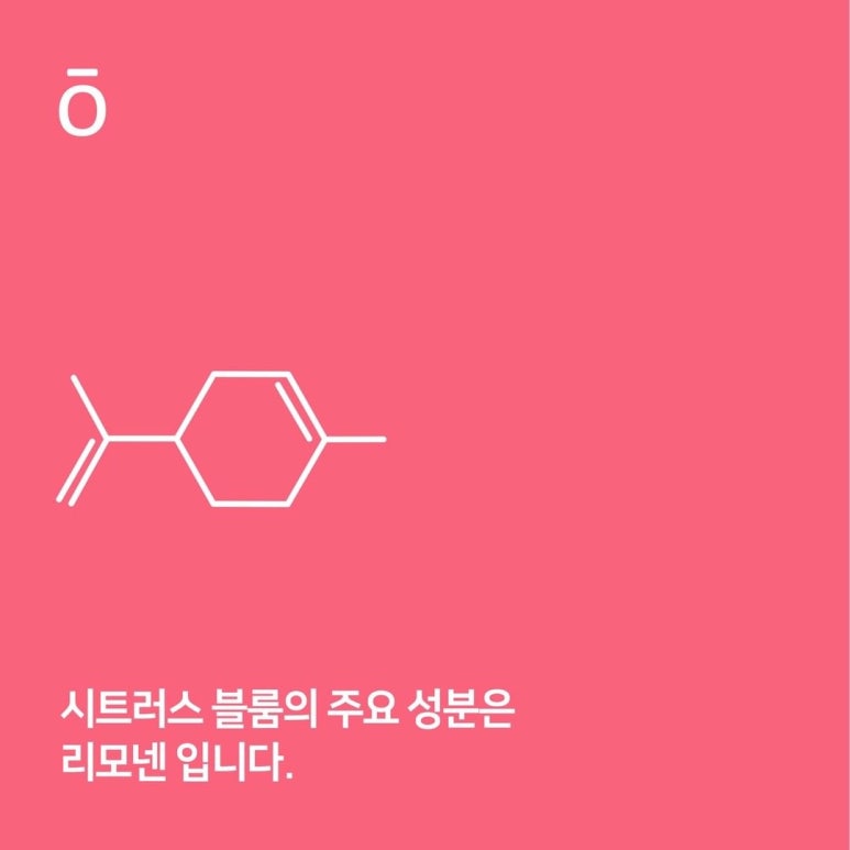 라벤더블룸 이미지