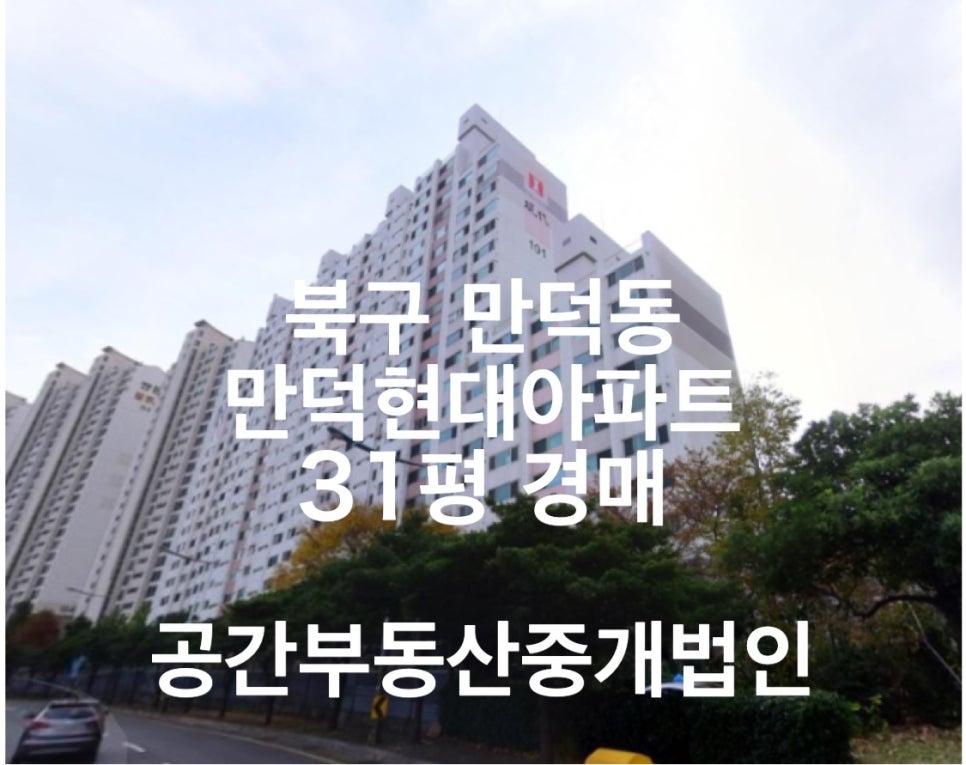 법인만덕 이미지