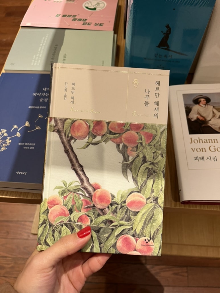 헤세의책방 이미지