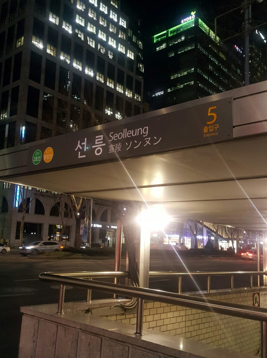 네일쉴꽃 이미지