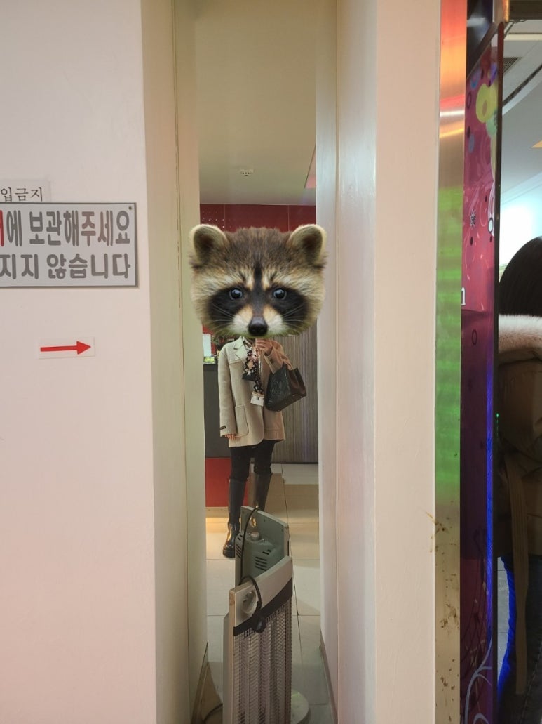 너구리노래연습장 이미지