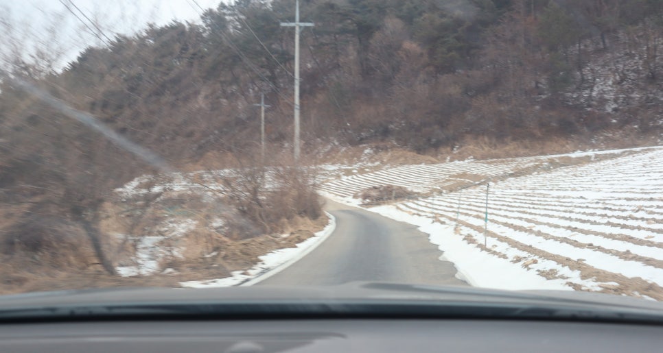 도그밀리 이미지