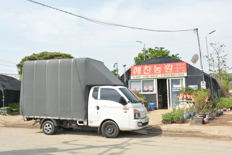 상록수농원 이미지