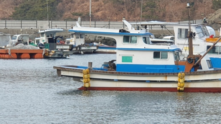 수달레져 이미지