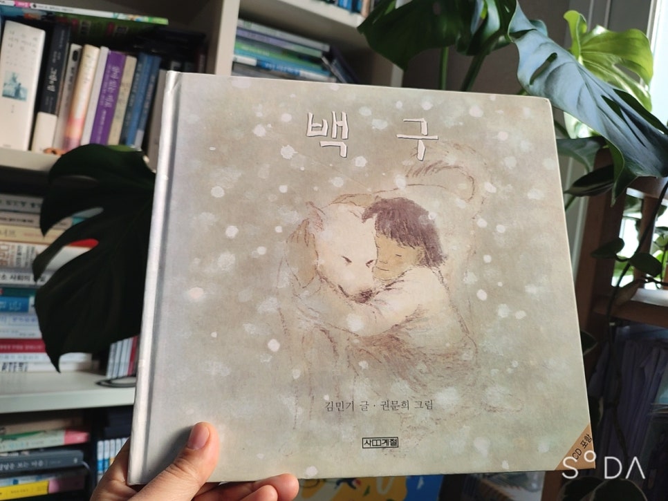백구야놀자 이미지
