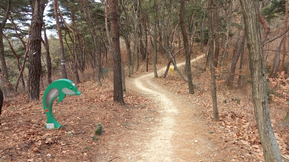 초록색돌고래 이미지