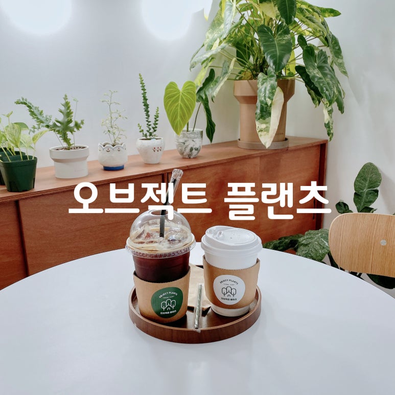 오브젝트플랜츠 이미지