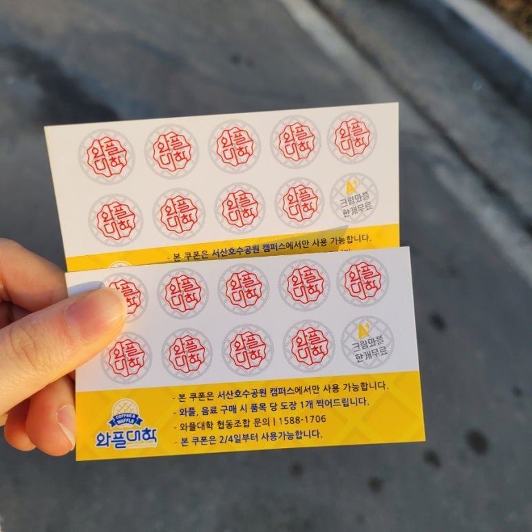 와플대학서산 이미지
