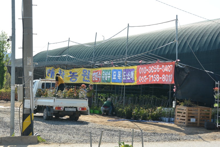 경산에조경농원 이미지