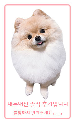오브젝트플랜츠 이미지