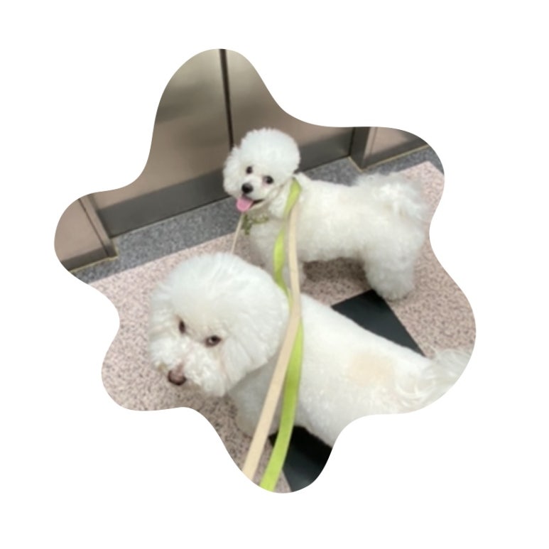 래복집 이미지
