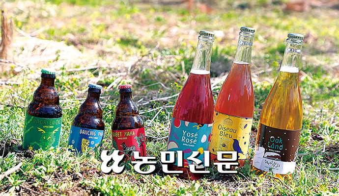 댄싱스토어 이미지