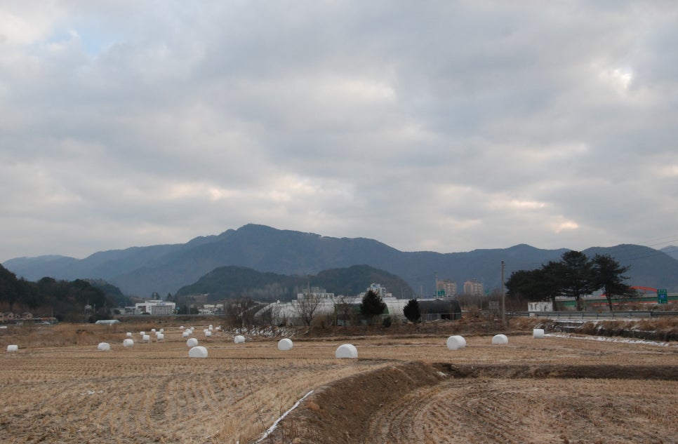 하2리 이미지